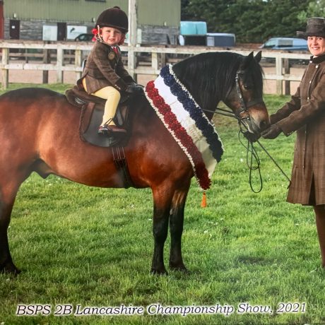 Esmé and Springwater Sir Francis at the Lancashire Championship Show